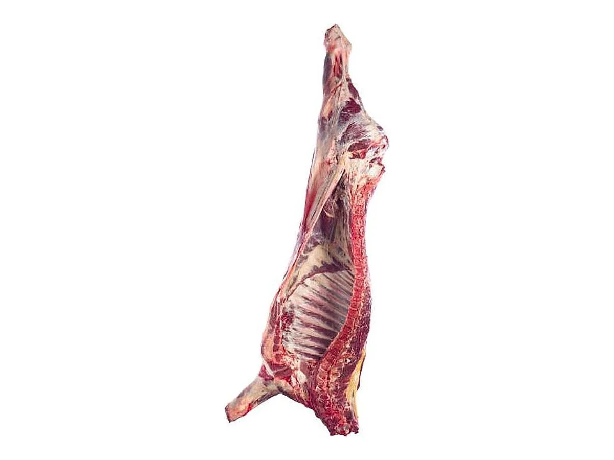 Half Beef Share